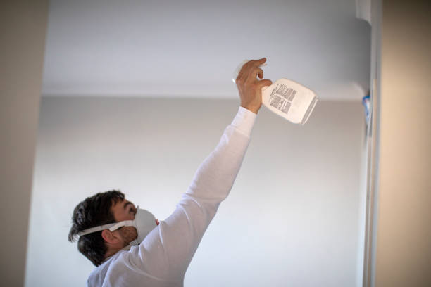 Best Mold Removal Near Me  in Ocean Springs, MS