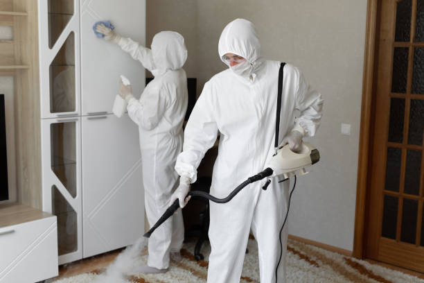 Best Mold Damage Repair  in Ocean Springs, MS